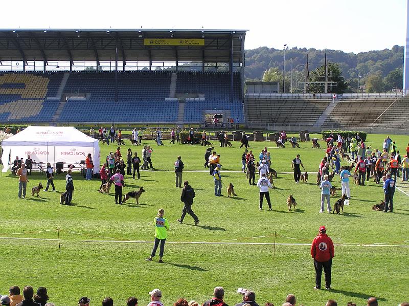 15-9-08 180.jpg
